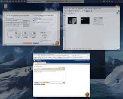 Image result for beryl screenshots