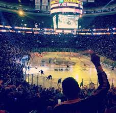 Pin On Td Garden