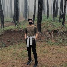 Hutan pinus merupakan contoh ekosistem taiga, yang memiliki daun jarum hutan pinus merupakan jenis hutan dengan tanaman yang homogen. Ahsanulfiqrii Hutan Pinus Bulu Tanah Lapri Facebook