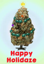 Aphids are another common insect pest. Weed Christmas Gif Weed Christmas Christmas Weed Discover Share Gifs