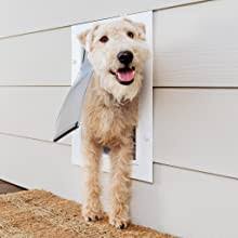 We did not find results for: Amazon Com Petsafe Wall Entry Pet Door With Telescoping Tunnel Medium For Pets Up To 40 Lb White Made In The Usa Pet Supplies