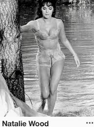 Pin On Schneider Wood Rip