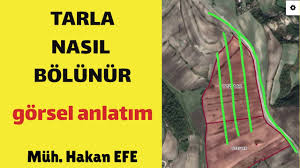 Taks sınırı varsa, arsanızın tamamına inşaat yapamazsınız. Imarsiz Arsaya Kac Metrekare Ev Yapabilirim Youtube