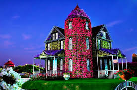 This miracle garden dubai guide will help you know everything there is about it to plan the perfect visit. Blumenhaus In Dubai Miracle Park Einzigartige Wohnhauser