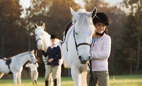 Originally commissioned by the city of london as the. Horse Back Riding Recreational Cressbrook Stables At Rolling Hills Equestrian Center Groupon