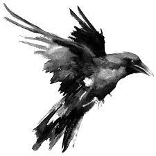 Raven, also known as rachel roth, is a superhero with magical abilities and a prominent member of the teen titans. Raven Japanische Fliesen Und Andere Raritaten