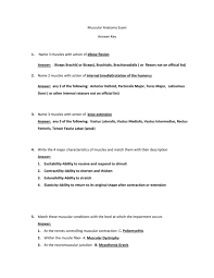 Maybe you would like to learn more about one of these? Muscular Anatomy Exam