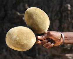 Check spelling or type a new query. From The Tree Of Life Food In Canadafood In Canada