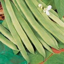 Image result for runner bean