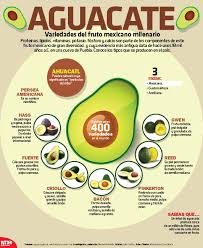 Proteinas Lipidos Vitaminas Potasio Fosforo Y Calcio Son Parte De Los Componentes De Frutas Y Verduras Beneficios Comida Y Vino Recetas De Comida Mexicana