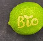 Laser Marking on Fruit - Macsa ID