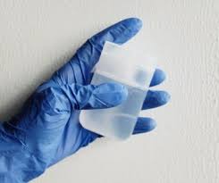 Does Bleach Kill Fleas Here S What We Discovered