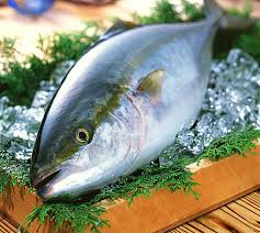 「ぶり」の画像検索結果