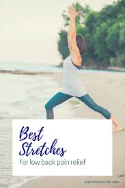 Pin On Physical Therapy For Active Women