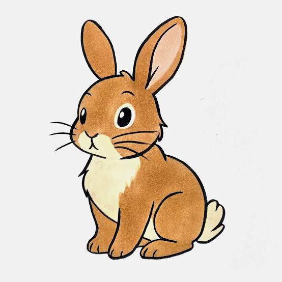 How to Draw a Cute Bunny (Easy Step-by-Step Guide for Beginners)