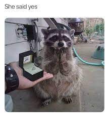 She Said Yes R Memes Know Your Meme