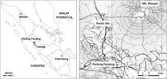 The construction contract would encapsulate how the retention sum shall be calculated. Land Use And Management Effects On Volcanic Soils In West Sumatra Indonesia Sciencedirect