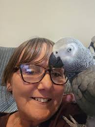 TRÅVÌLÌØ CÅCTÙS ØG IPHONE  DAD 🍏🌵 Enemies u need more than goggle just  to find me 🚮