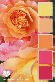 Die drei primärfarben und die drei sekundärfarben. Pink Orange Yellow Roses Color Palette Farbabstimmung Farbinspiration Farbmischtabelle