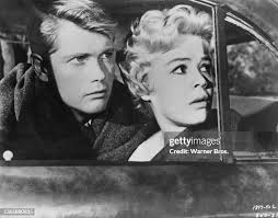 29 Sandra Donahue Stock Photos, High-Res Pictures, and Images