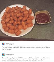 Do I Look Like I Know What A Jpeg Is Tater Tot Tumblr Posts Funny Tumblr Posts