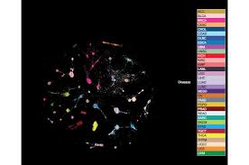 Cancer is a group of more than 100 different diseases. New Pan Cancer Analysis Reveals The Common Roots Of Different Cancers