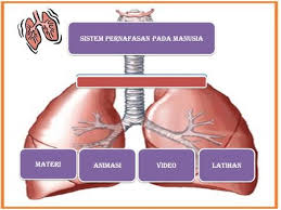 Nota sains tahun 4 unit 2: Sistem Pernapasan Manusia Ppt Download