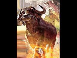 Jallikattu sollikittu vaada thamizha song jallikattu celebration a jallikattu protester's handbook (self.jallikattu). Malayalam Film Jallikattu Is India S Official Entry To The Oscars