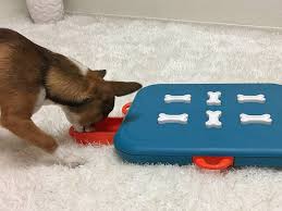 If you were looking for a way to keep your dog occupied and from engaging in destructive behavior then this is definitely the game. Outward Hound Interactive Dog Toys Challenge Dogs To Find Treats