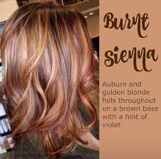 Auburn Hair With Golden Highlights Fall 2015 Hair Color Hair Color Auburn Hair Styles Hair Highlights