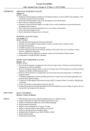 Business Analyst Level Resume Samples Velvet Jobs