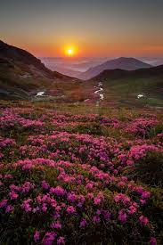 Rodnei Mountains National Park Romania Www Romaniasfriends Com Beautiful Nature Spring Nature Beautiful Landscapes