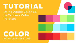 Tutorial Using Adobe Color Cc To Capture Color Palettes Adobe Creative Cloud