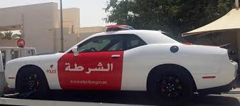Abu dhabi police car chase. Facebook