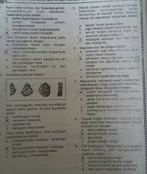 Tts sejarah kelas 10 tentang manusia purba. Soal Dan Jawaban Zaman Prasejarah Kumpulan Contoh Surat Dan Soal Terlengkap