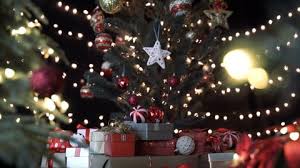 Porch rockers at christmas tree shop. Christmas Tree Stock Video Footage 4k And Hd Video Clips Shutterstock