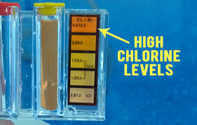 swimming pool chlorine levels best foto swimming pool and