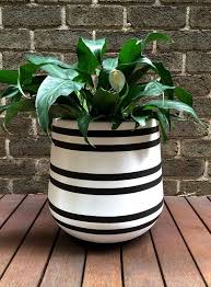 Black And White Striped Outdoor Planters Hand Painted Lightweight Plant Pot In White With Black Stripes This Is A Striking Design Which Will Ad Painted Planters Diy Painted Pots Diy Painted Clay Pots