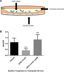 We did not find results for: The Streptococcal Protease Speb Antagonizes The Biofilms Of The Human Pathogen Staphylococcus Aureus Usa300 Through Cleavage Of The Staphylococcal Sdrc Protein Journal Of Bacteriology