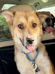 Waived fee Wednesday