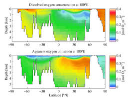 Sign up / log in. Oxygen Minimum Zone Wikipedia