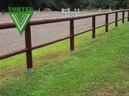 Giovane maschio in abito casual fissaggio briglia vicino alla bocca di cavallo. Paddock Cavalli P120 Youtube