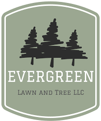 Doing business as:evergreen land services evergreen land title services. General 1 Evergreen Lawn And Tree