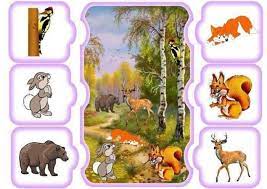 أنشطة تركيز وانتباه ابحث داخل الصورة عن الطيور والحيوانات الموجودة على جانبي الصورة animals for kids preschool activities animals wild