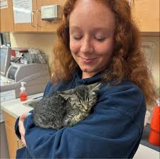 What is the abandoned building in Greenbriar, Chesapeake, Va?