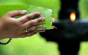 Malayalam Good Day Wishes Good Day Wishes Day Wishes Kerala