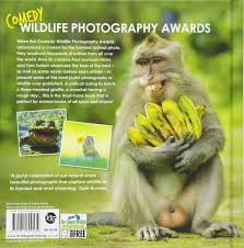 That's the idea behind the comedy wildlife photography awards, a competition currently in its fourth year of delivering funny photos of animals being silly. Comedy Wildlife Photography Awards The Perfect Hilarious Gift For Christmas Joynson Hicks Paul Sullam Tom Amazon De Bucher