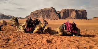 Tour name 04 hours (half day) camel ride & tour with or without overnight tour code g tour starts any time from morning until 04 hrs before. Wadi Rum Living In Jordan As Expat Explore The Highlights Of Jordan