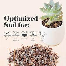 Check spelling or type a new query. 6 Best Soil For Succulents In Pots 2021 Edition Succulent Alley