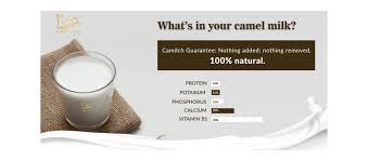 Herders may for periods survive solely on the milk when taking the camels on long distances to graze in desert and arid environments. Camilch Posts Facebook